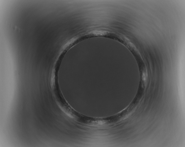 X0000115270492200911061311