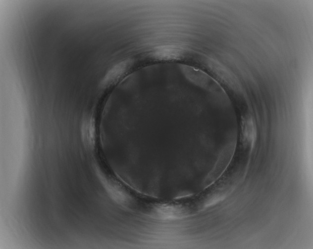 X0000115270494200911061311