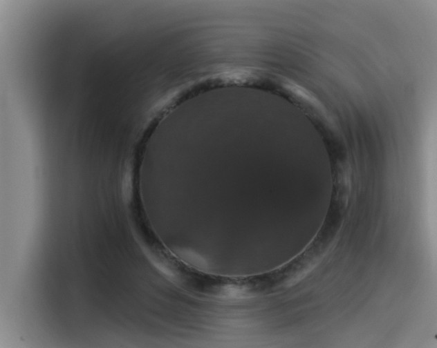 X0000115270496200911061310