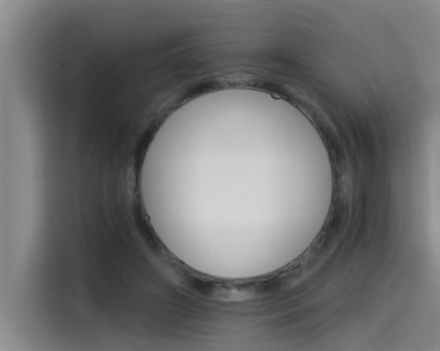 X0000115270498200911061310