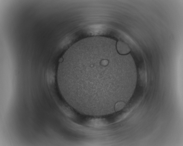 X0000115270499200911061310