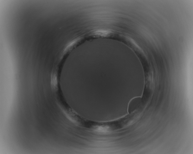 X0000115270500200911061310