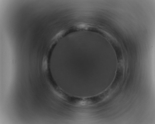 X0000115270504200911061310