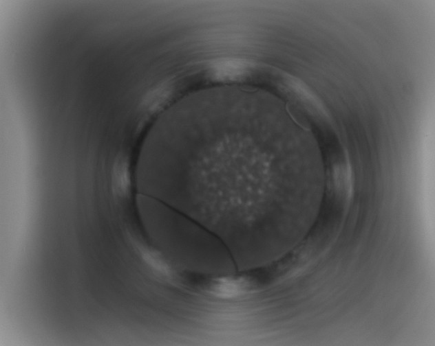 X0000115270508200911061310