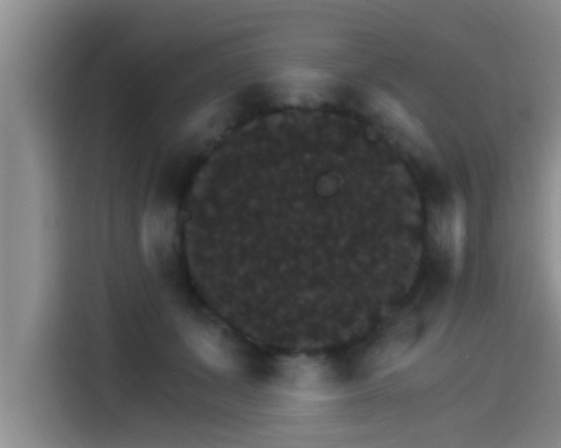 X0000115270511200911061310