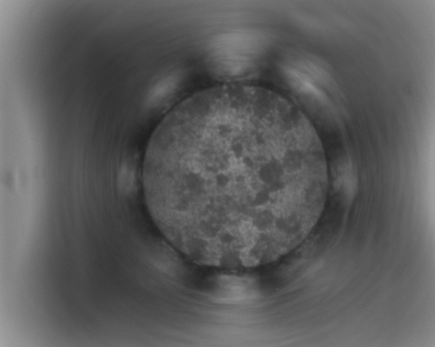 X0000115270515200911061310