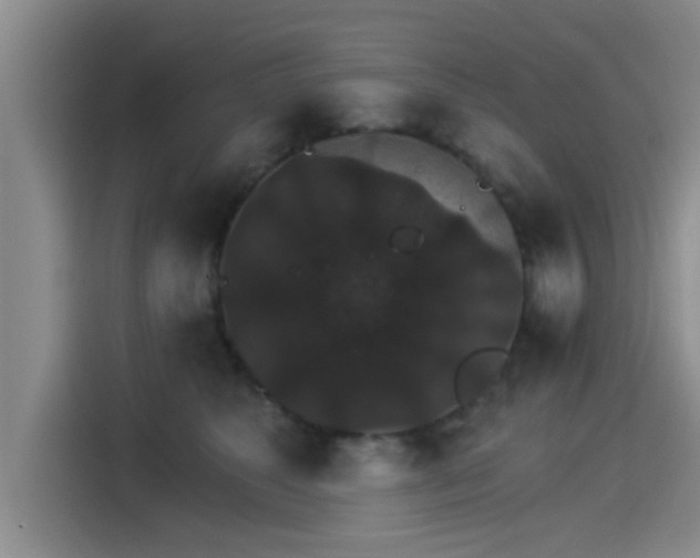 X0000115270517200911061310