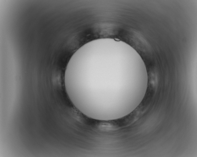 X0000115270519200911061310