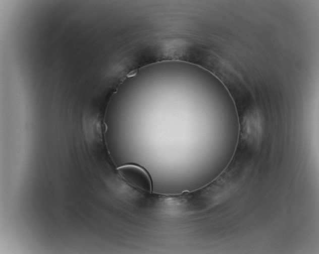 X0000115270522200911061310