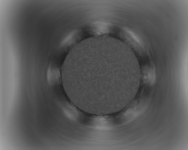 X0000115270523200911061310