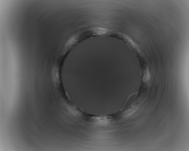 X0000115270524200911061310