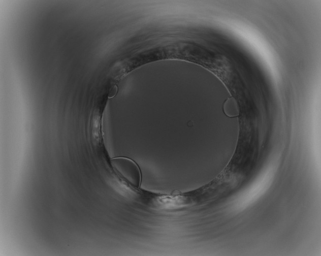 X0000115270526200911061310