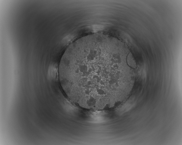 X0000115270527200911061310