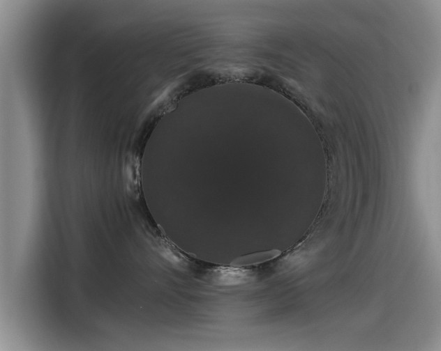 X0000115270528200911061310