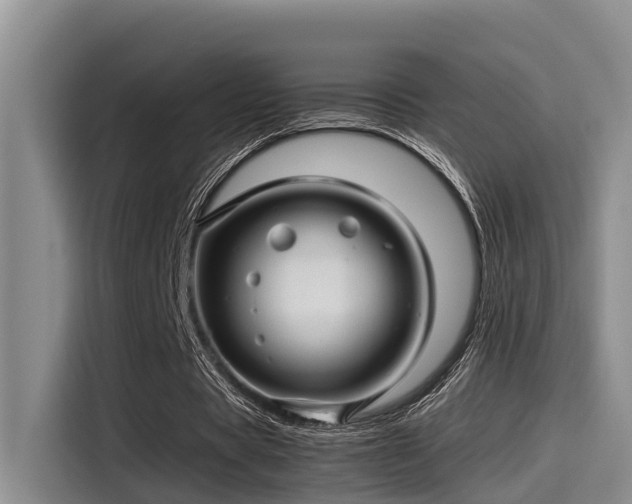 X0000115270529200911061309
