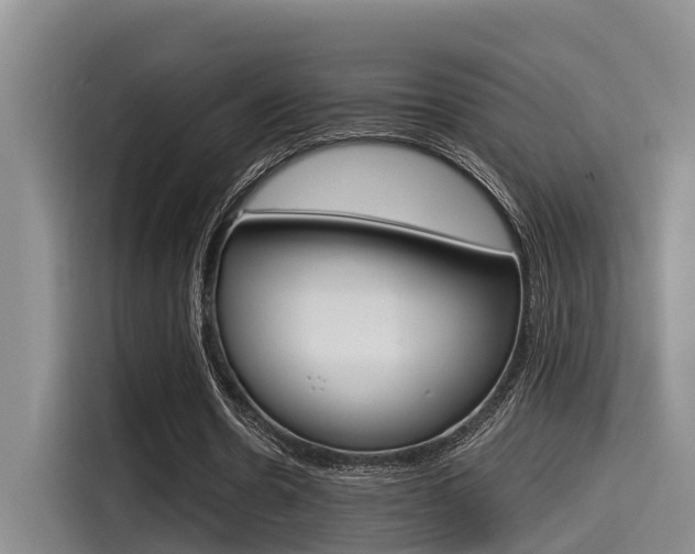 X0000115270530200911061309
