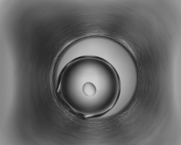 X0000115270531200911061309