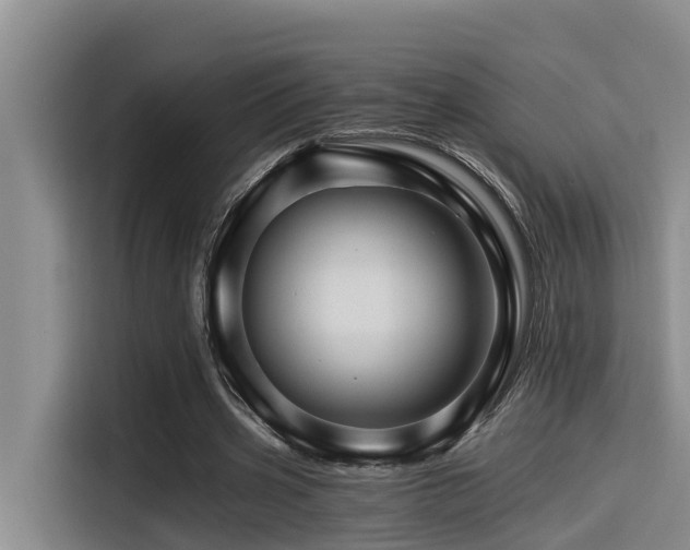 X0000115270533200911061309