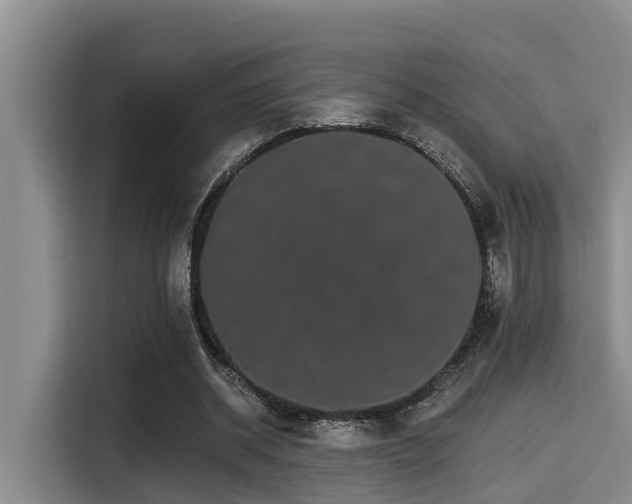 X0000115270534200911061310