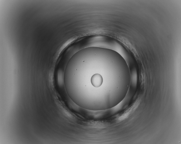 X0000115270535200911061310