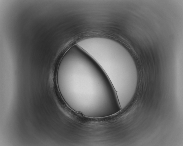 X0000115270538200911061310