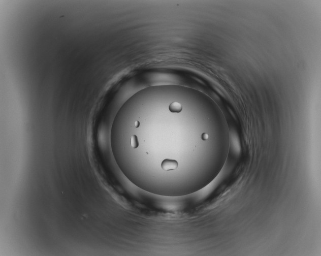 X0000115270539200911061310