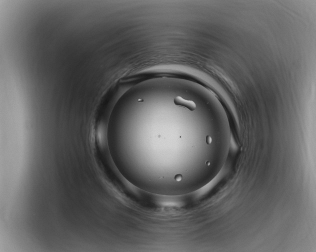 X0000115270541200911061310