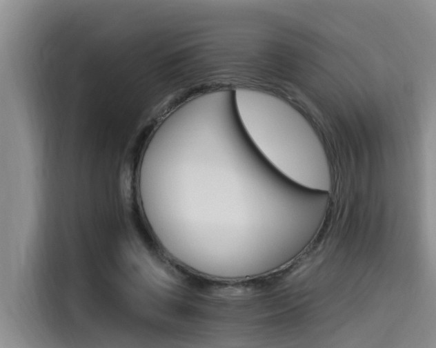 X0000115270542200911061310