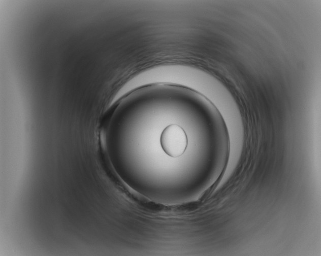 X0000115270545200911061310