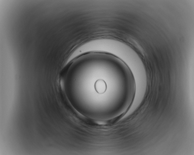 X0000115270549200911061310