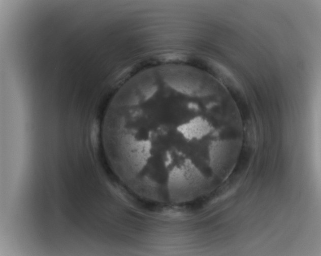 X0000115270550200911061310