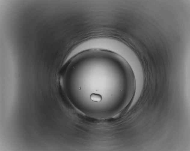 X0000115270551200911061310