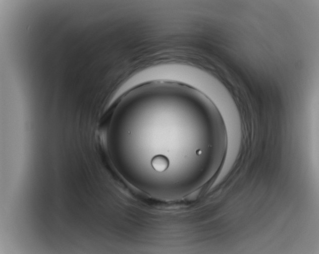 X0000115270553200911061310