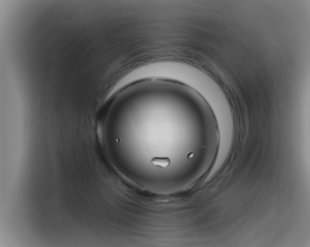 X0000115270557200911061310