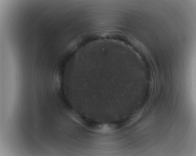 X0000115270558200911061310