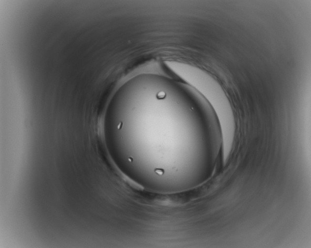 X0000115270561200911061310