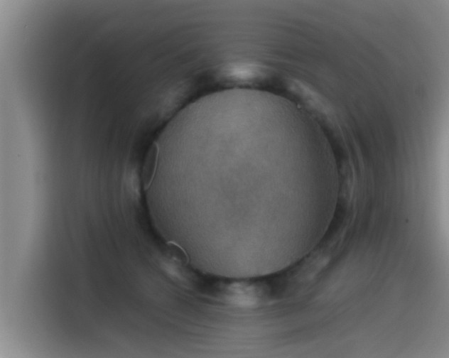 X0000115270562200911061310