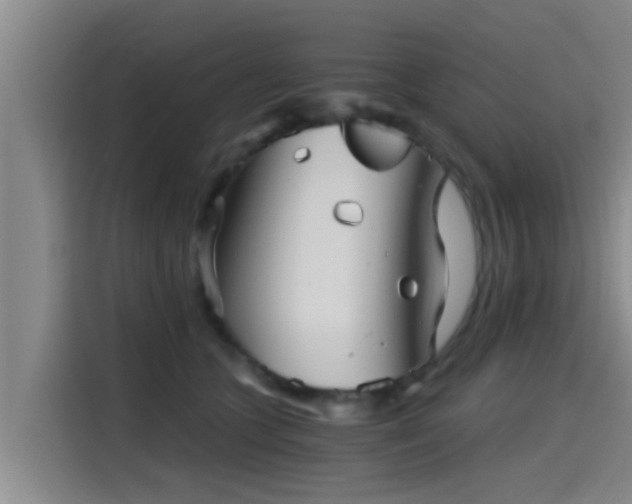 X0000115270563200911061310