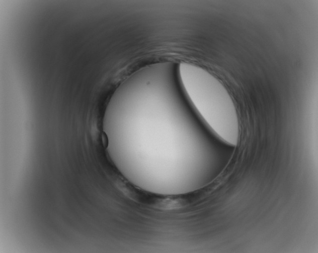 X0000115270566200911061310