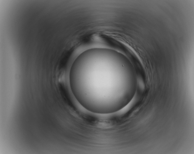 X0000115270567200911061310
