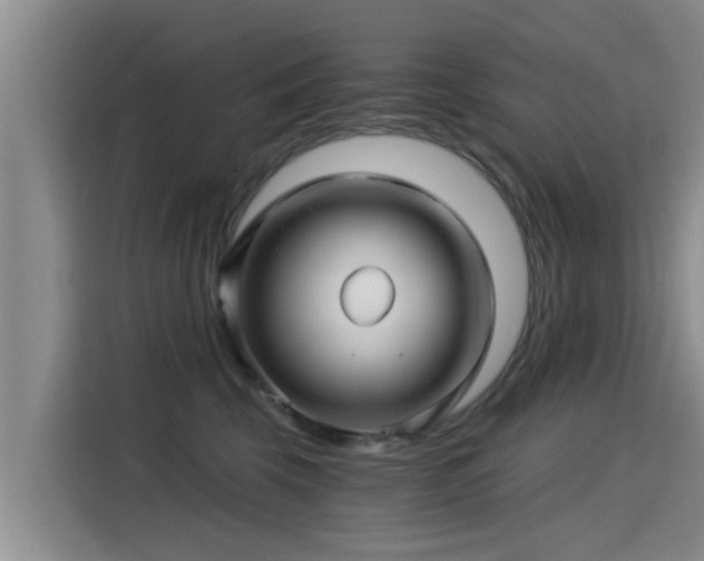 X0000115270569200911061310