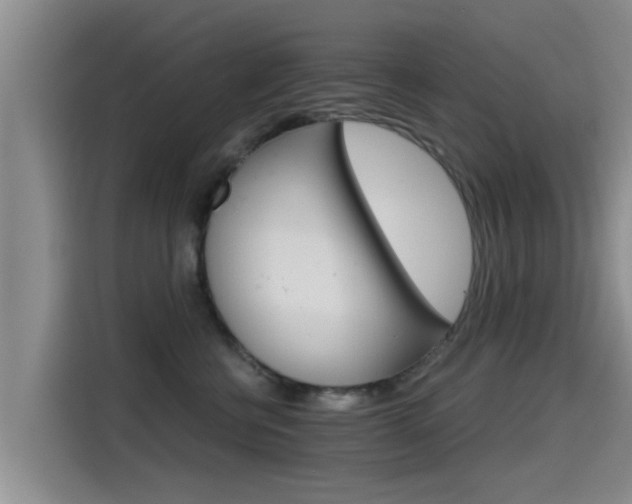 X0000115270570200911061310