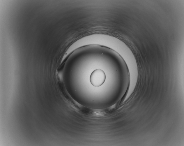 X0000115270573200911061310