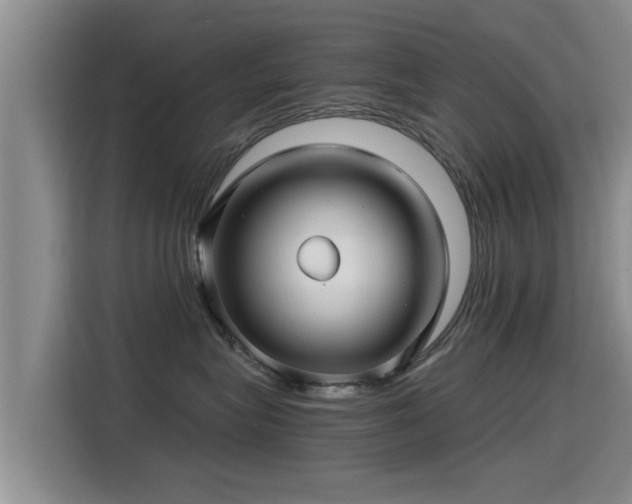 X0000115270575200911061310