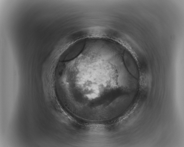 X0000115270577200911061309