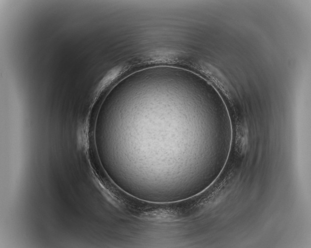 X0000115270578200911061309