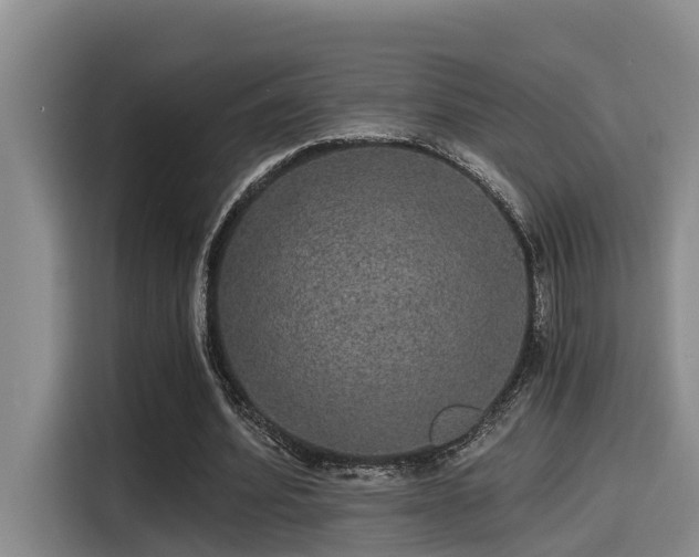 X0000115270580200911061309
