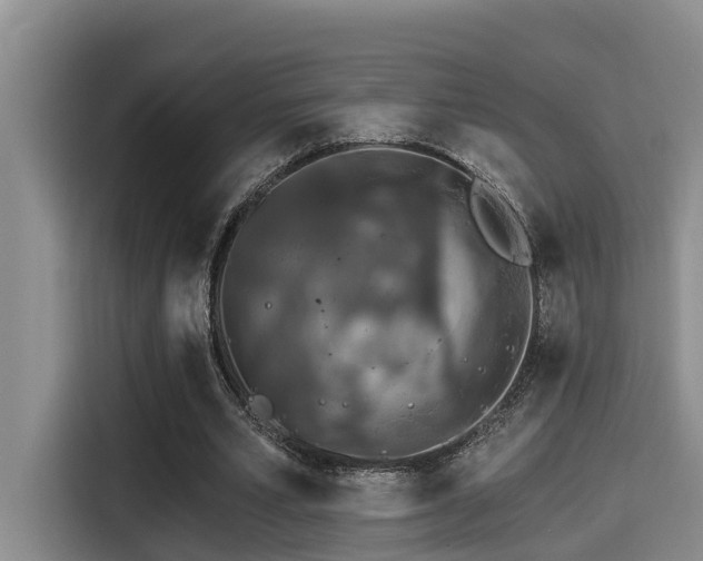 X0000115270581200911061309