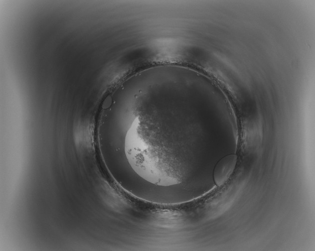X0000115270585200911061309
