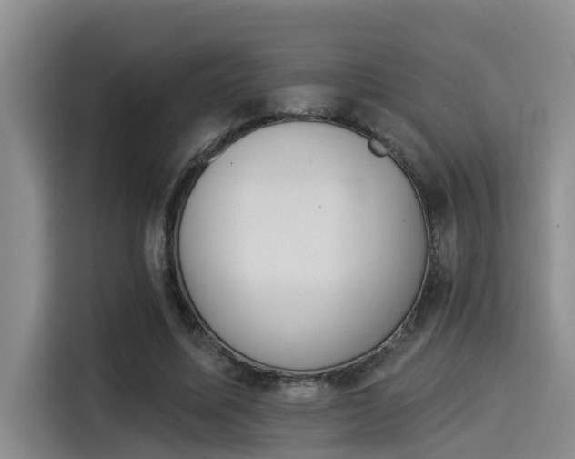 X0000115270587200911061309